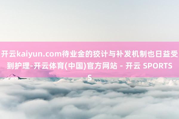 开云kaiyun.com待业金的狡计与补发机制也日益受到护理-开云体育(中国)官方网站 - 开云 SPORTS