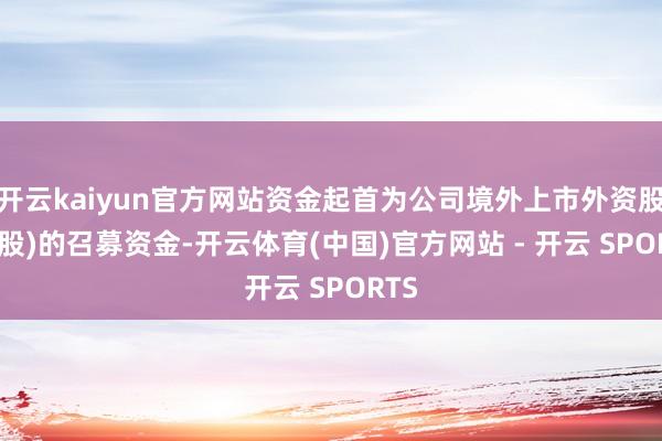开云kaiyun官方网站资金起首为公司境外上市外资股(H 股)的召募资金-开云体育(中国)官方网站 - 开云 SPORTS