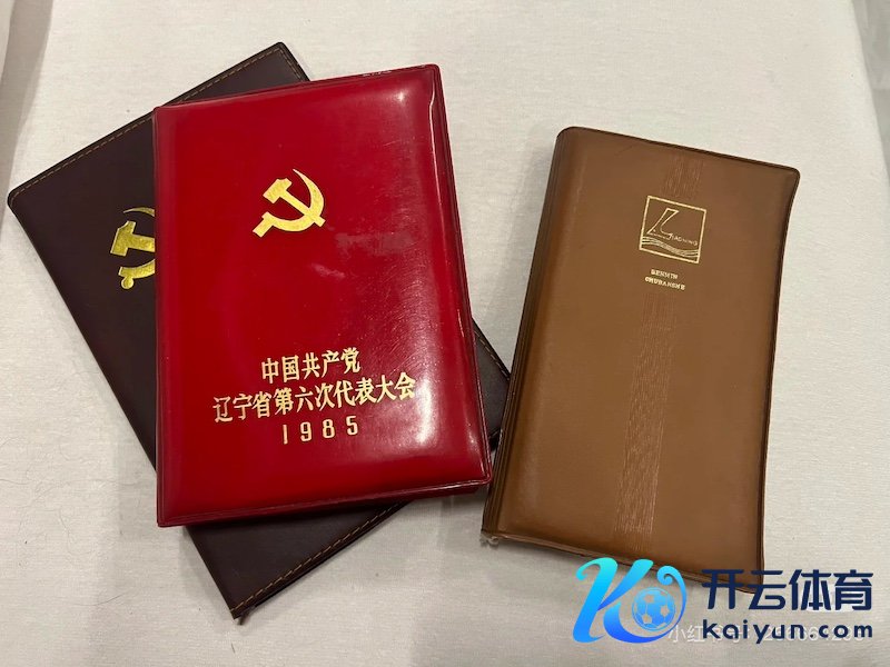 淡豹惟恐翻开外公的条记本，也翻开了一页眷属的尘封旧事