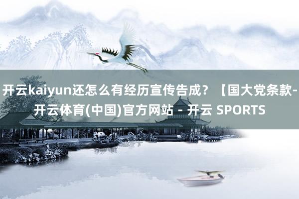 开云kaiyun还怎么有经历宣传告成？【国大党条款-开云体育(中国)官方网站 - 开云 SPORTS