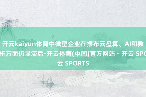 开云kaiyun体育中微型企业在摆布云盘算、AI和数据分析方面仍显滞后-开云体育(中国)官方网站 - 开云 SPORTS